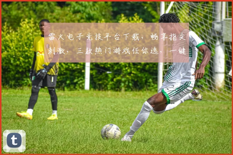 雷火电子竞技平台下载，畅享指尖刺激，三款热门游戏任你选，一键下载，即刻开战