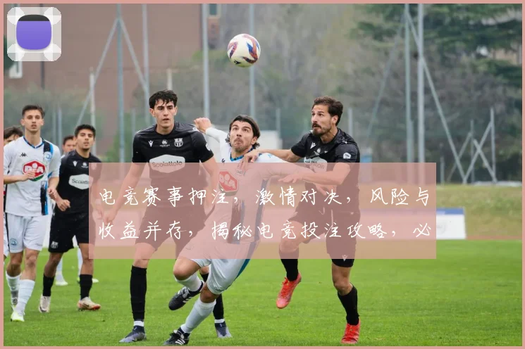 电竞赛事押注，激情对决，风险与收益并存，揭秘电竞投注攻略，必看