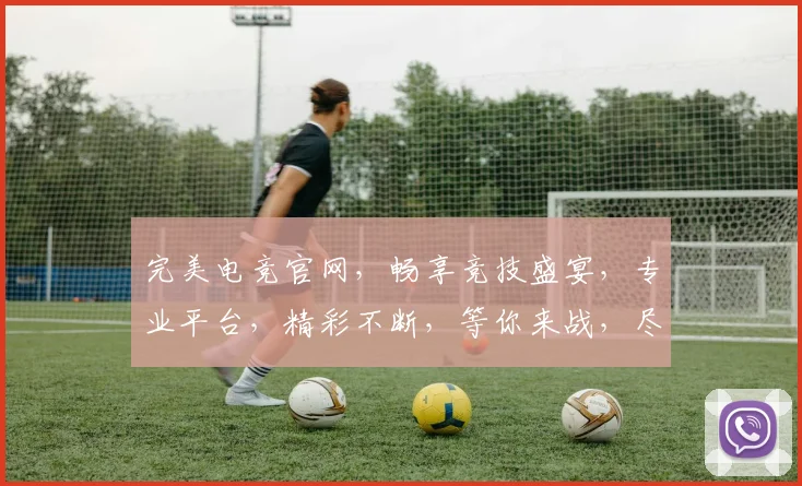 完美电竞官网，畅享竞技盛宴，专业平台，精彩不断，等你来战，尽在完美电竞官网