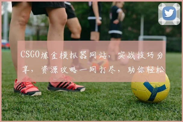 CSGO炼金模拟器网站，实战技巧分享，资源攻略一网打尽，助你轻松炼金逗比