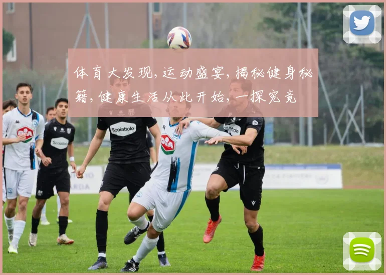 体育大发现,运动盛宴,揭秘健身秘籍,健康生活从此开始,一探究竟