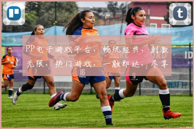 PP电子游戏平台，畅玩经典，刺激无限，热门游戏，一触即达，尽享游戏乐趣，三重福利等你来